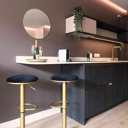 公寓 Elegance Scheveningen *