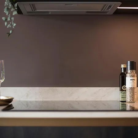 Elegance Scheveningen 公寓 *